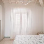 Bagno Conte Rosso - Beachfront & Lido di Camaiore